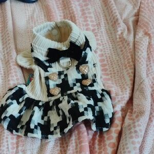Stylish Black and White Dog Dress